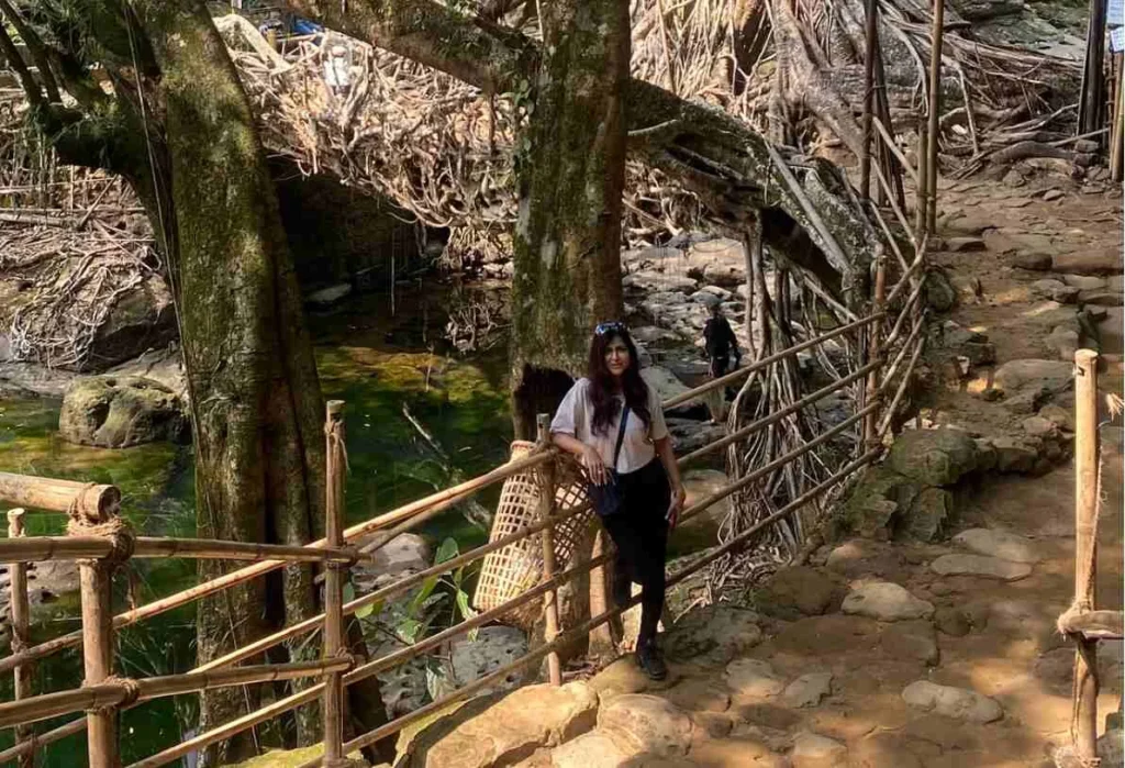 Single Living Roots Bridge in Sohra