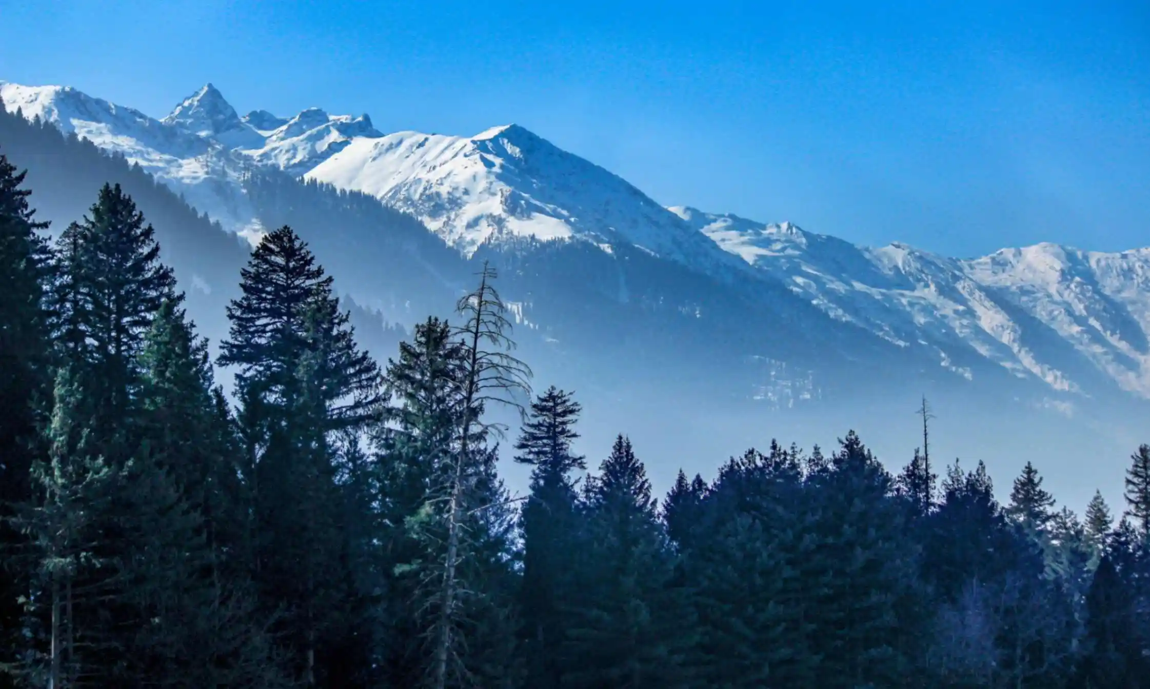 Trekking in the Himalayas