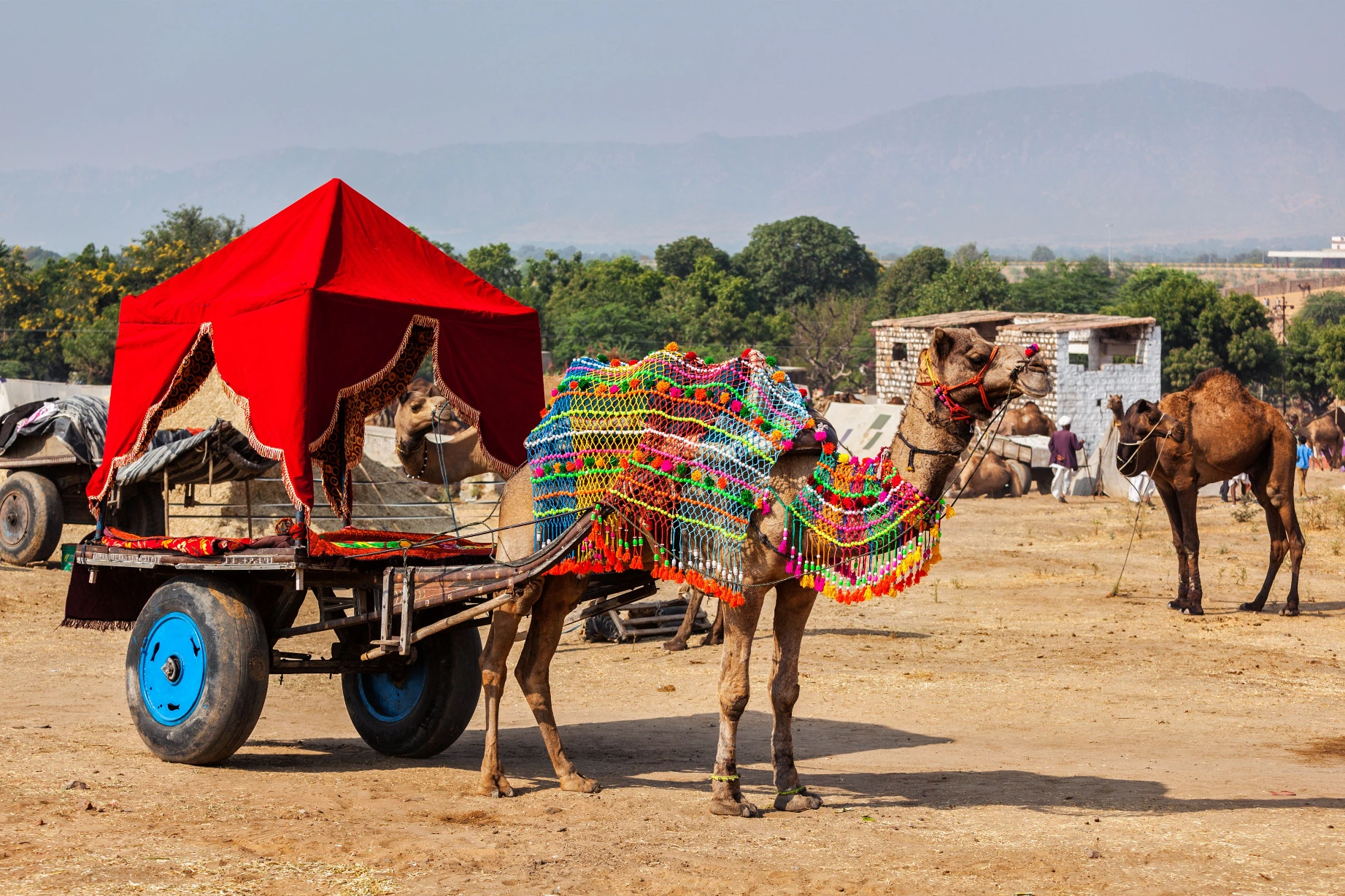 Pushkar Camel Fair