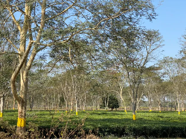 Breathtaking Natural Beauty