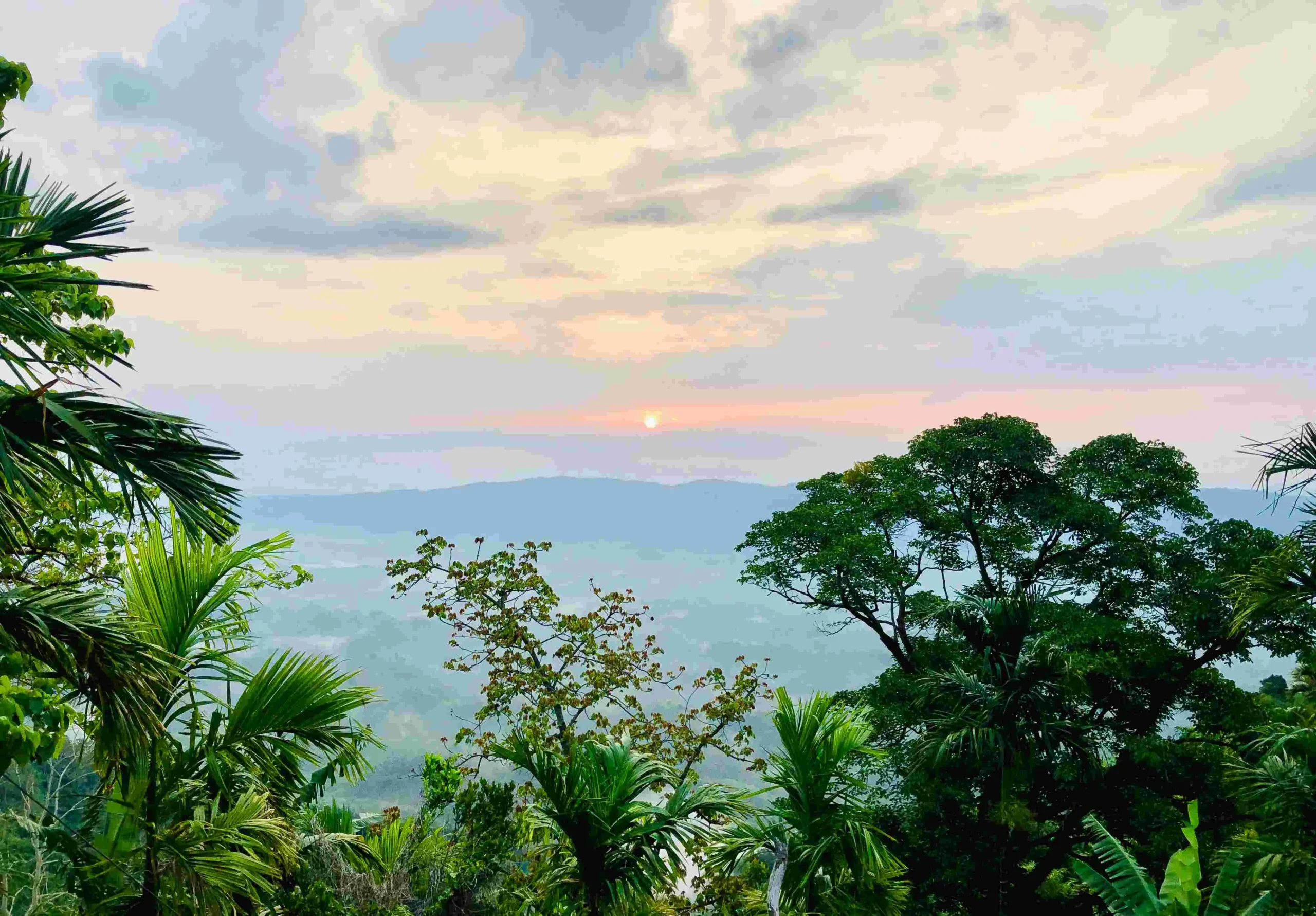 Jampui Hills: Tripura’s Hill Station