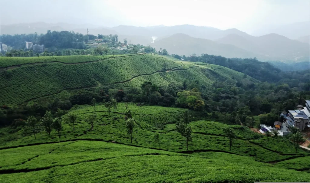 Munnar Hill