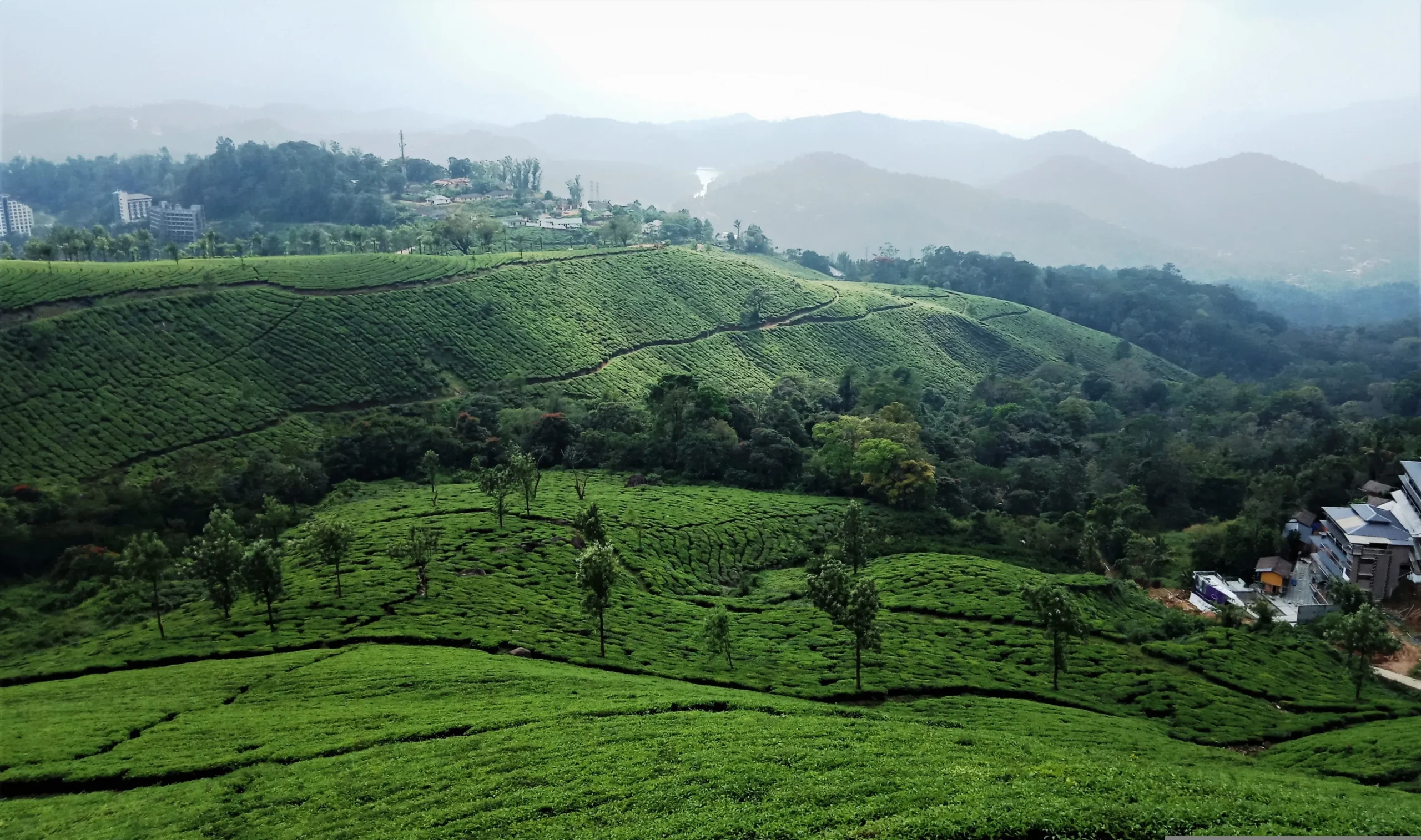 Munnar