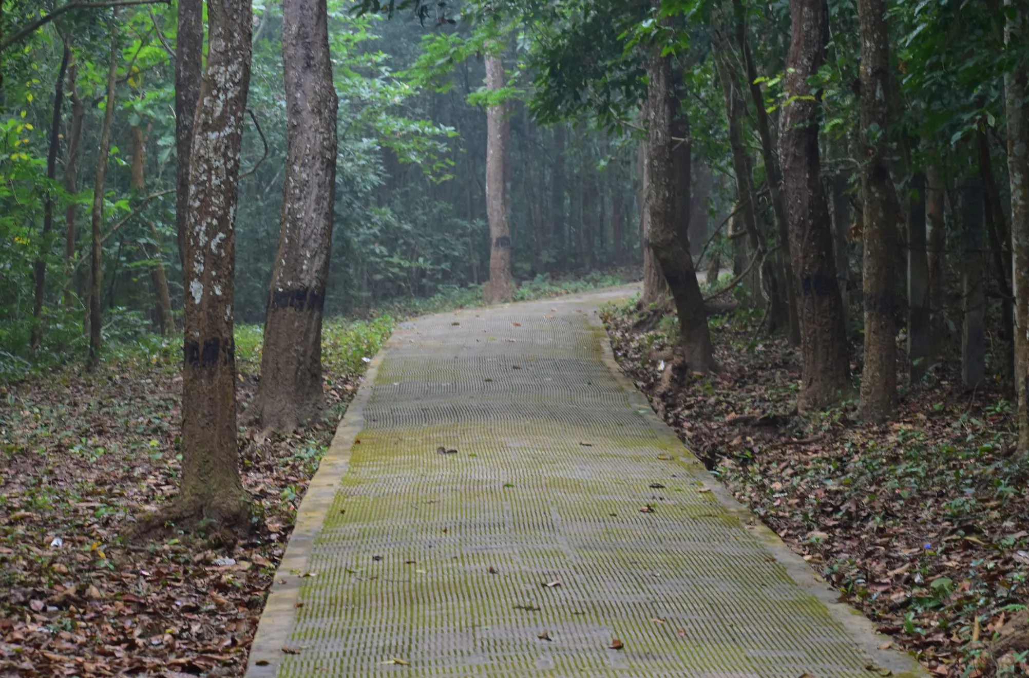 Sepahijala: Wildlife Sanctuary