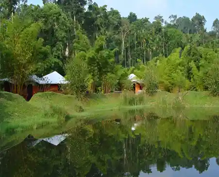 coorg stay