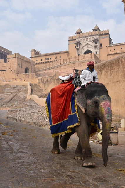 Elephant Rides at Amber Fort