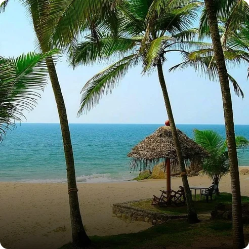 Paradise Garden Resorts featured image
