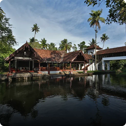 Coconut Lagoon featured image