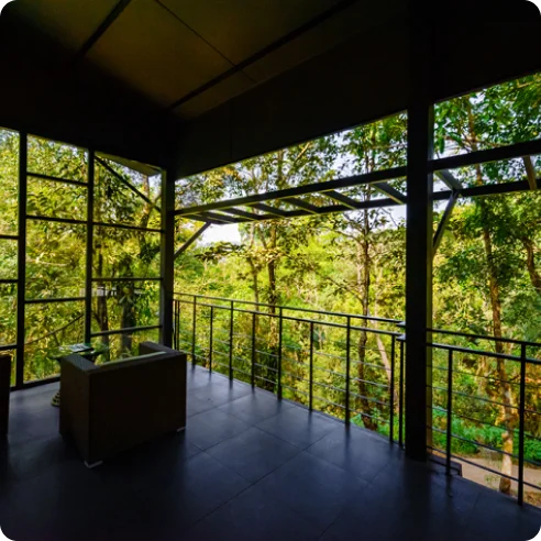 Wayanad Wild featured image