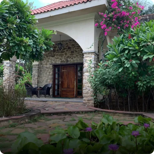 Kipling Jungle Lodge featured image