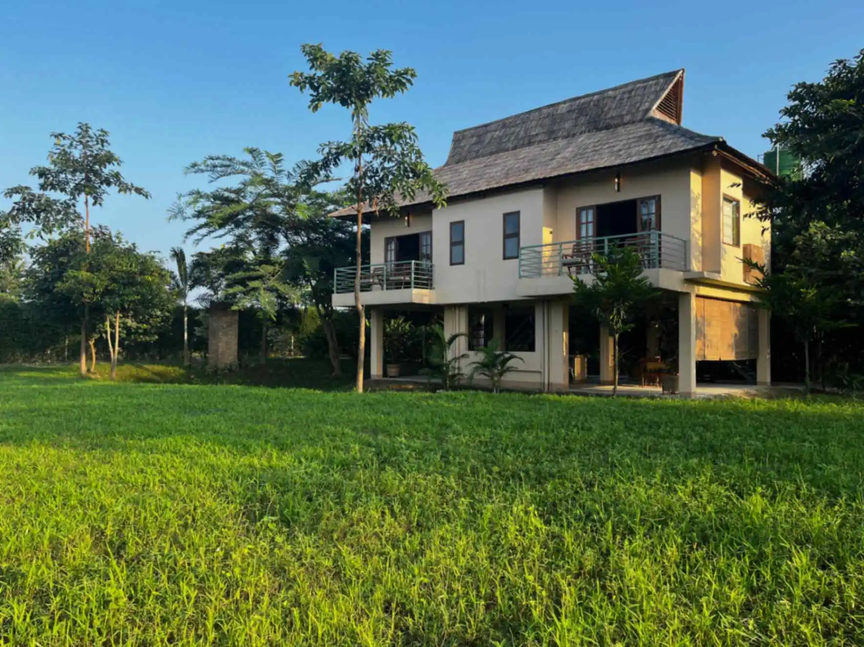 Elevation Bamboo Roofing