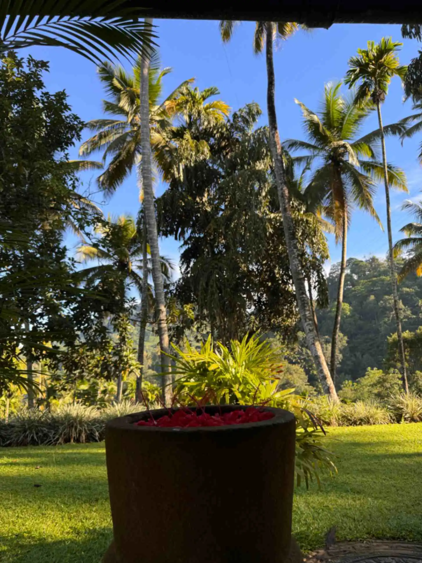 Boutique and Heritage Hotels