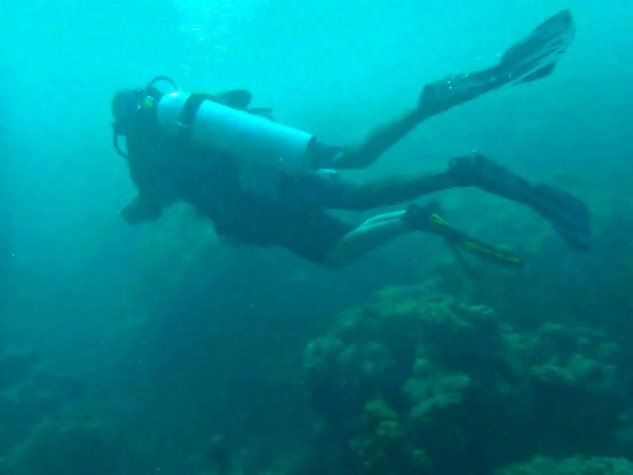 Scuba Diving and Snorkeling