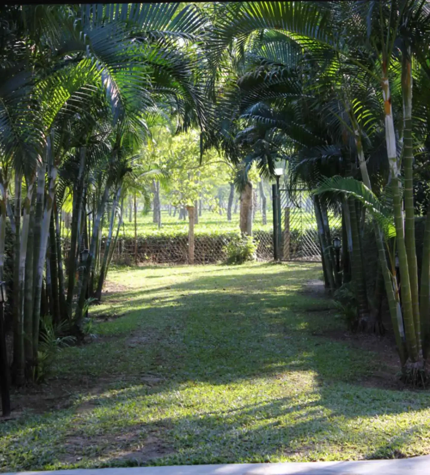 Assam’s diverse cultural heritage