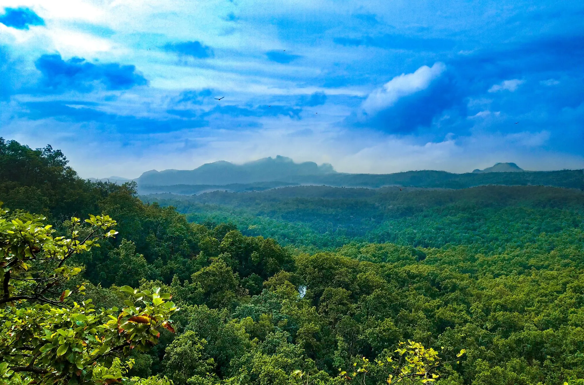 Trekking in Pachmarhi