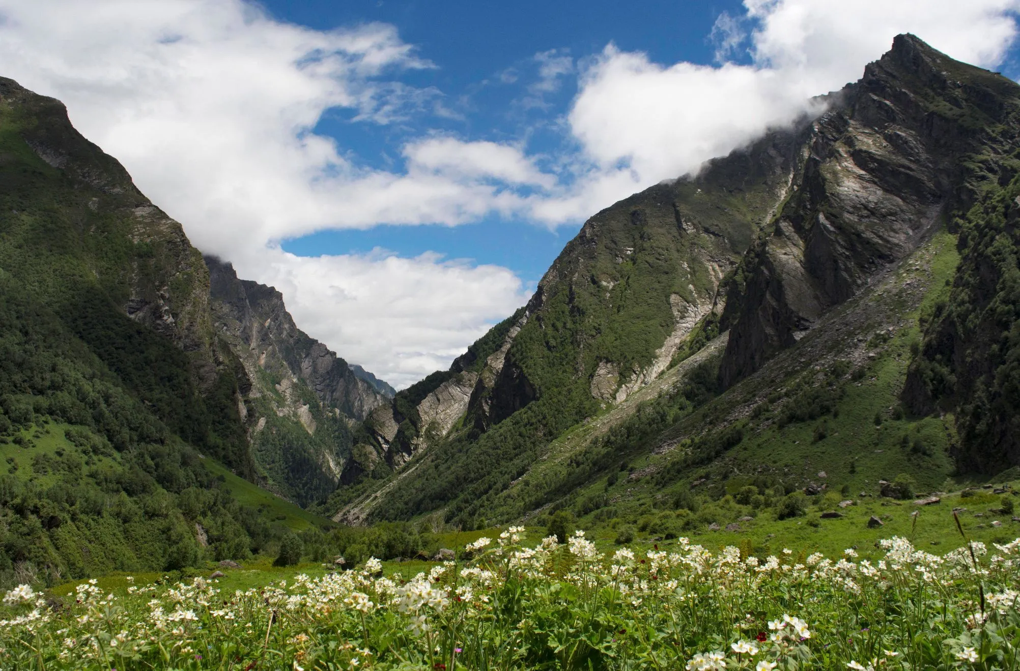 Valley of Flowers and Hemkund Sahib