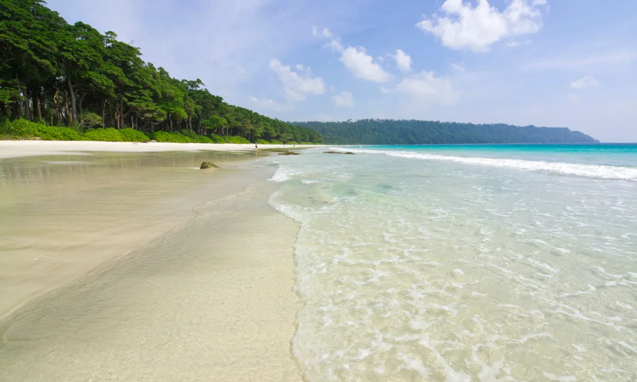 Relaxing Beach Escapes