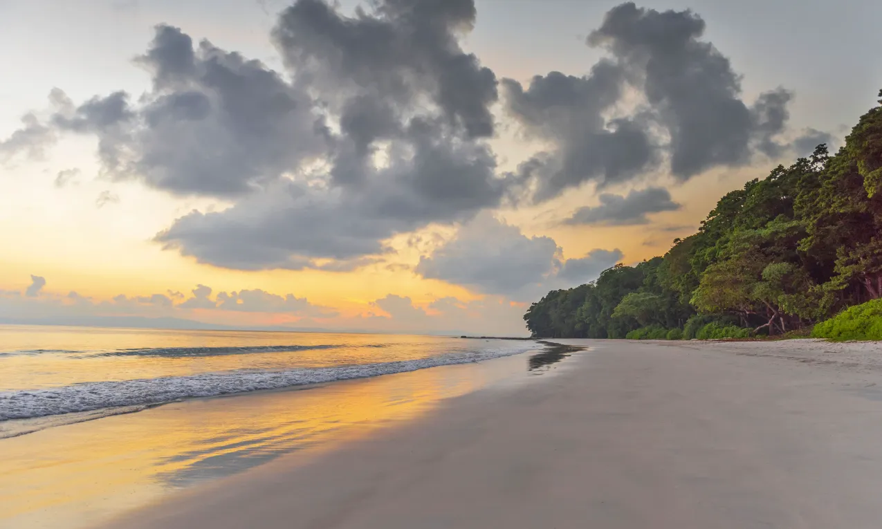 Relaxing Beach Escapes