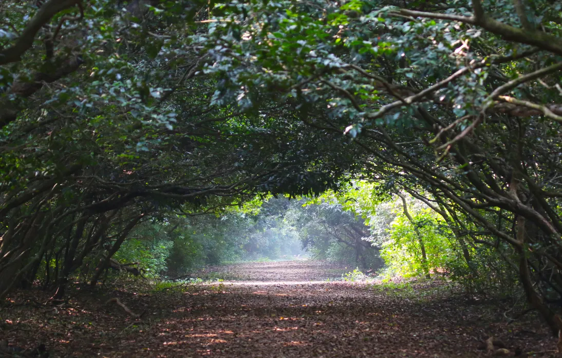 Bhitarkanika National Park