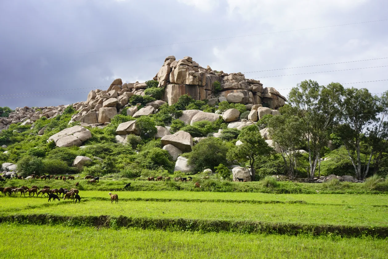 Vijayanagara