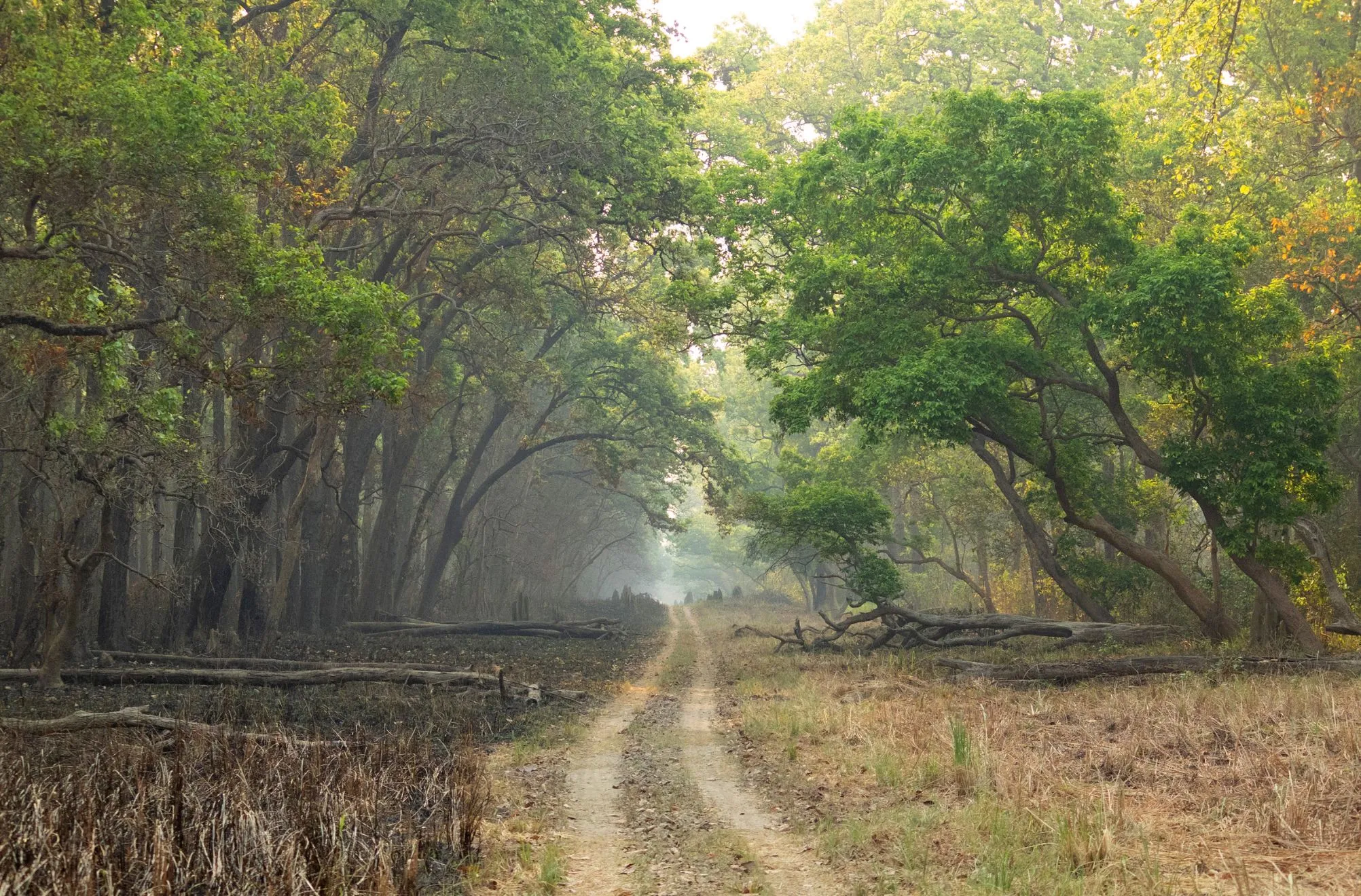 Dudhwa National Park