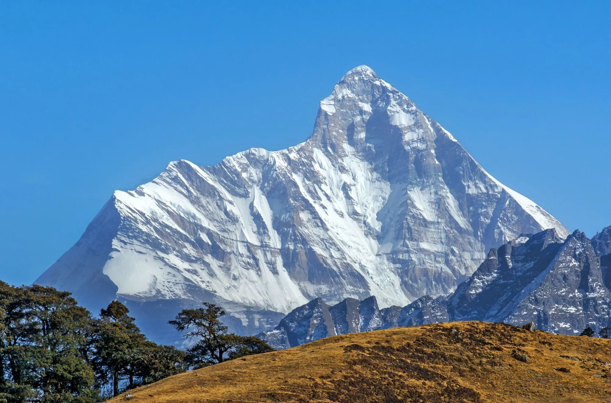 Nanda Devi Raj Jat Yatra