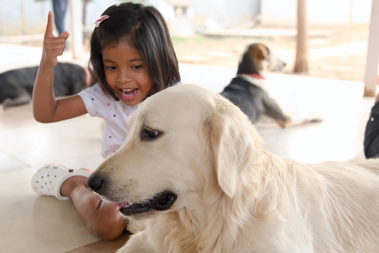 Handpicked Pet-Friendly Accommodations