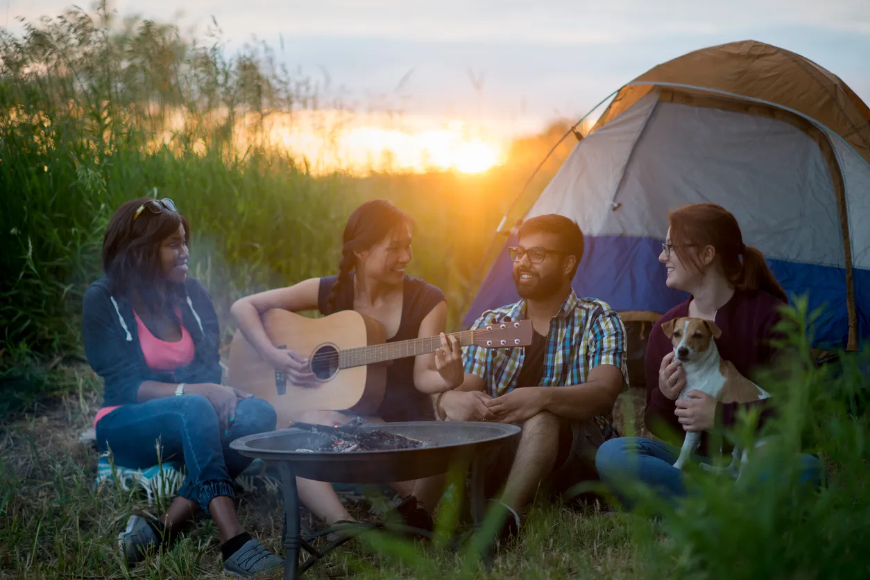 Tailored Activities for You & Your Pet