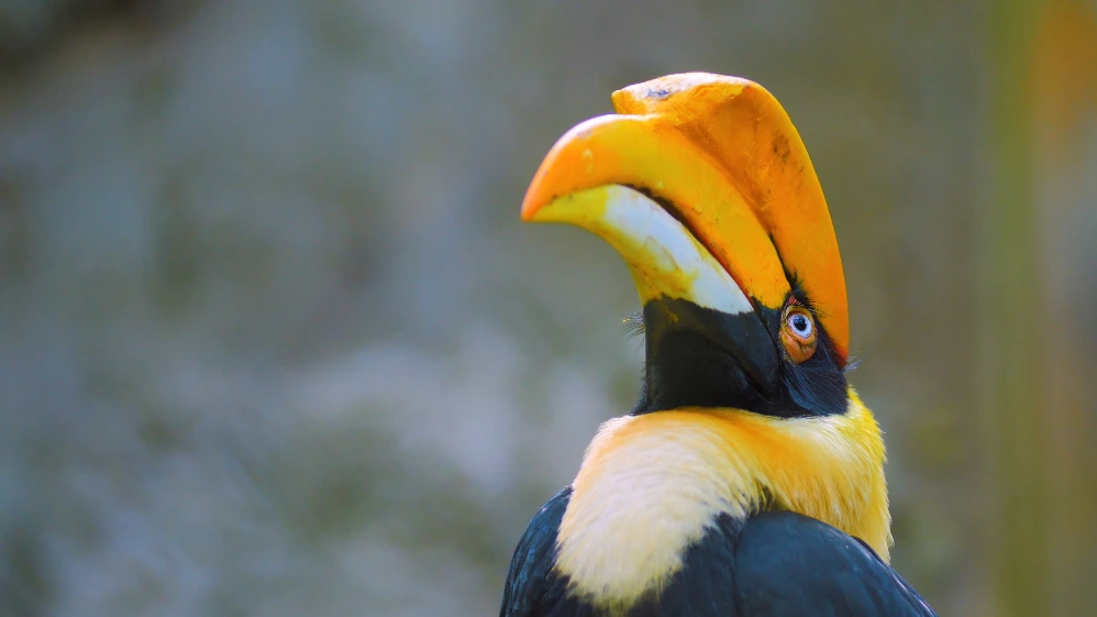 Breathtaking Landscapes