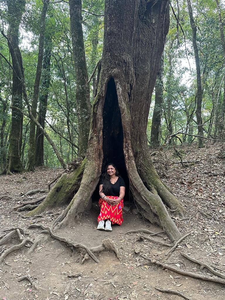 Mawphlang Sacred Forest