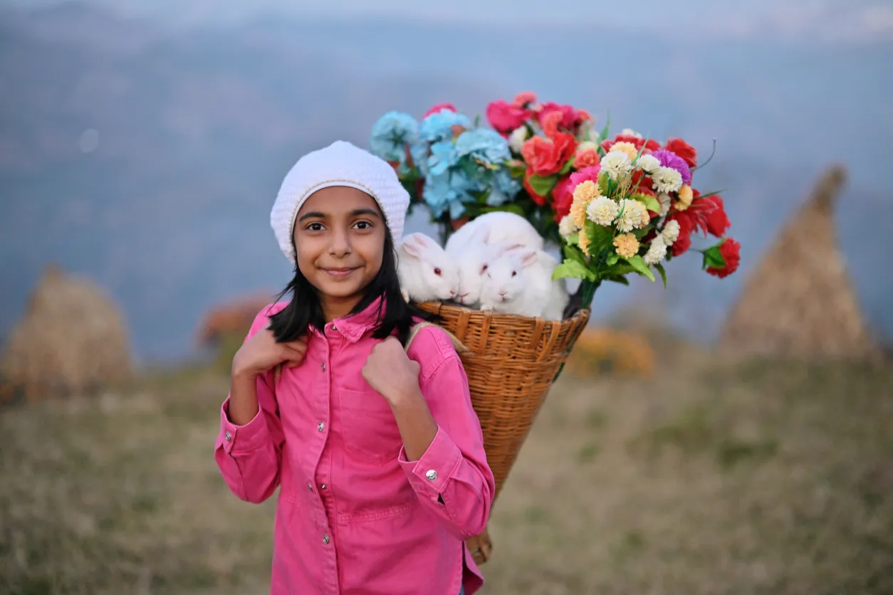 Expertise in Pet Travel