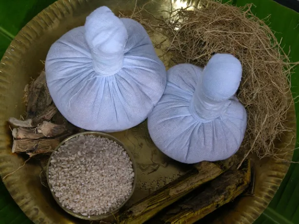 What Kalari Rasayana Offers