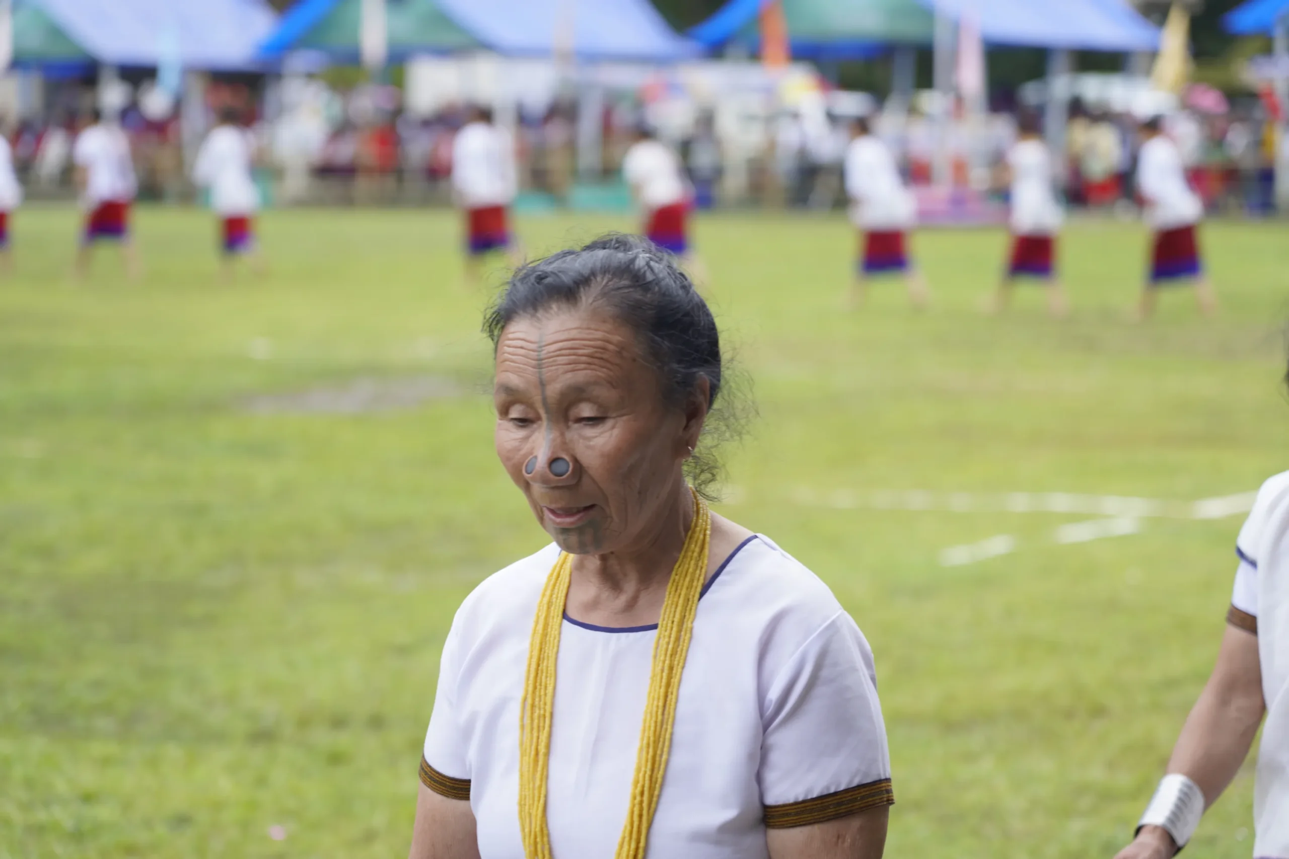 trip you will love banner