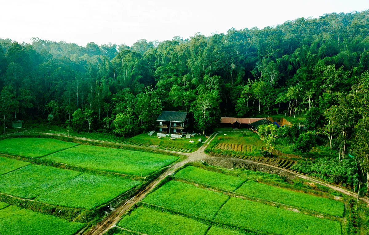 Miao - Homestay